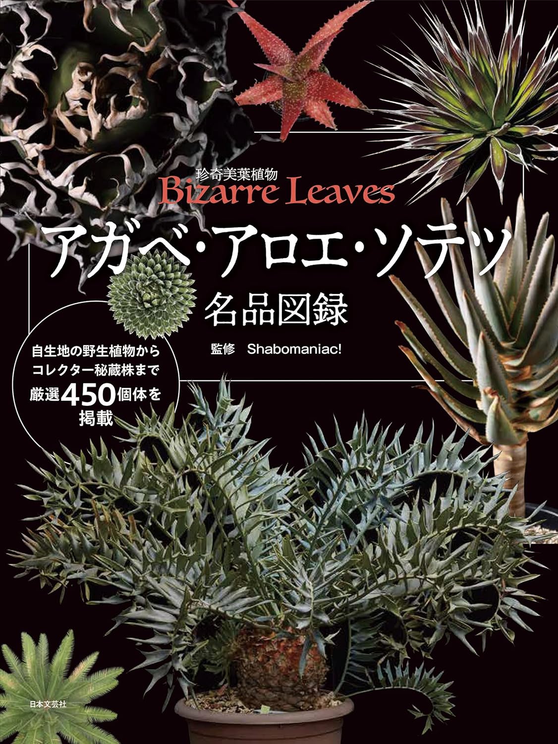 魅力を堪能する🌵アガベ・アロエ・ソテツ 名品図録 shabomaniac! 日本文芸社 #架空書店 231129③ 
