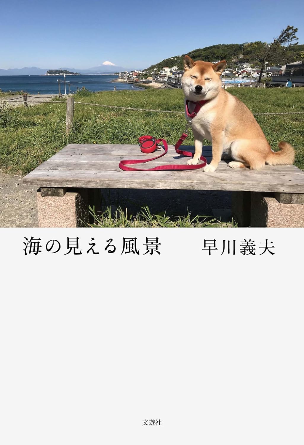 気持ちが揺れる🌊海の見える風景 早川義夫 文遊社 #架空書店 231205② 