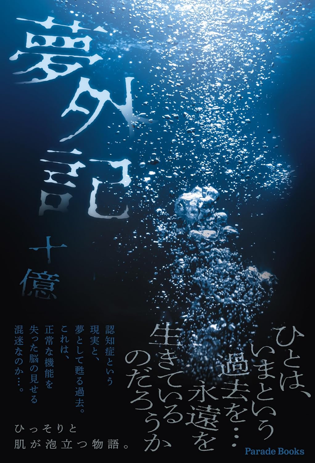 ぼんやりした💭夢外記 十億 パレード #架空書店 240103 ⑦