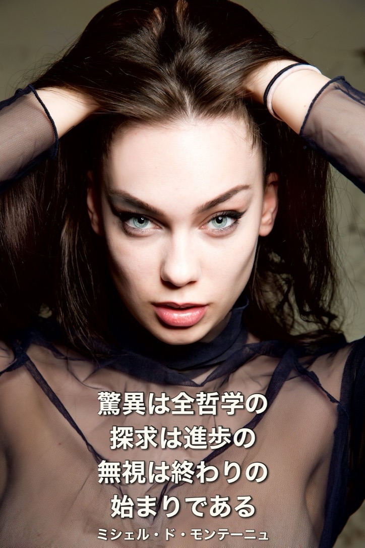 『驚異』2024/01/11 架空書店 今日のセレクトテーマ