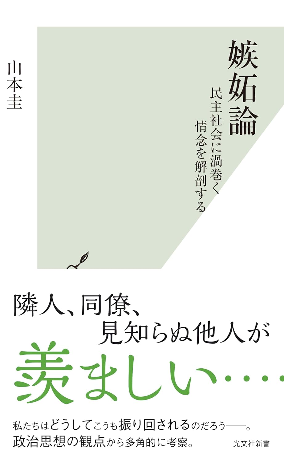 ぐるぐる🌀嫉妬論 民主社会に渦巻く情念を解剖する(光文社新書) 山本 圭 光文社 #架空書店 240214 ③ 