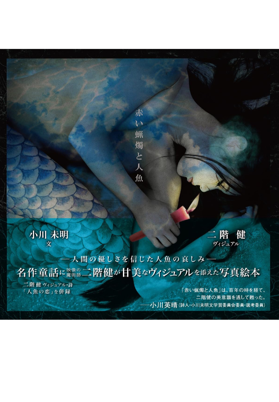 不思議な世界🕯️赤い蝋燭と人魚 (TH ART SERIES) 二階 健 小川未明 書苑新社 #架空書店 240214 ① 