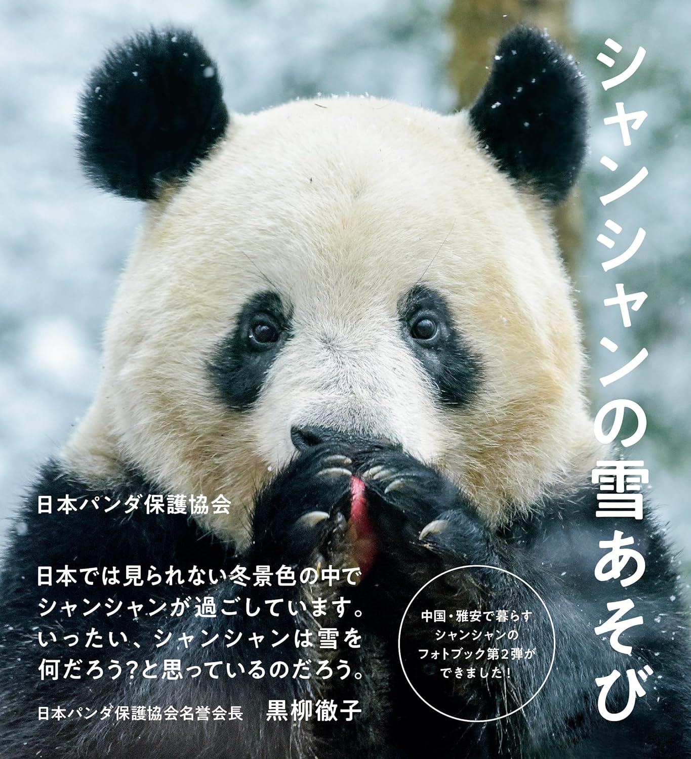 シャンシャンの雪あそび 日本パンダ保護協会 朝日新聞出版 アマゾン 話題の 本 Amazon 新刊 今月発売の新刊 ランキング上位の新刊 メディアで取り上げられた新刊 架空書店 kindle アマゾン kindle kindl KindleUnlimited イーブック ebook