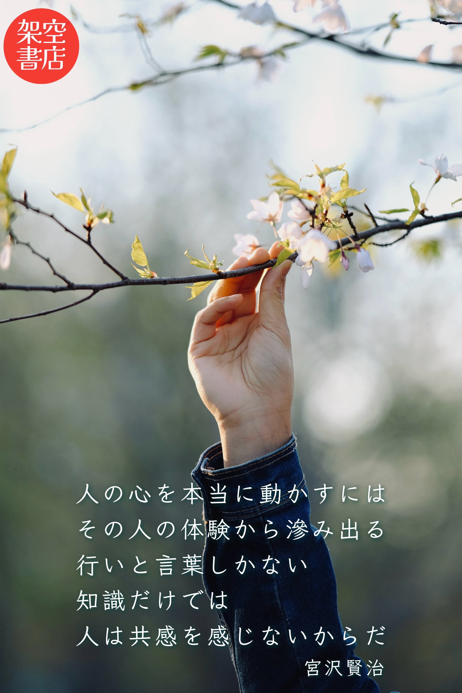 『共感』2024/04/08 架空書店 今日のセレクトテーマ