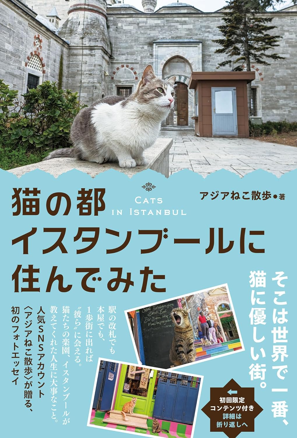 おはよーだニャ～😽猫の都イスタンブールに住んでみた アジアねこ散歩 ハーパーコリンズ・ジャパン #架空書店 240421 ① 
