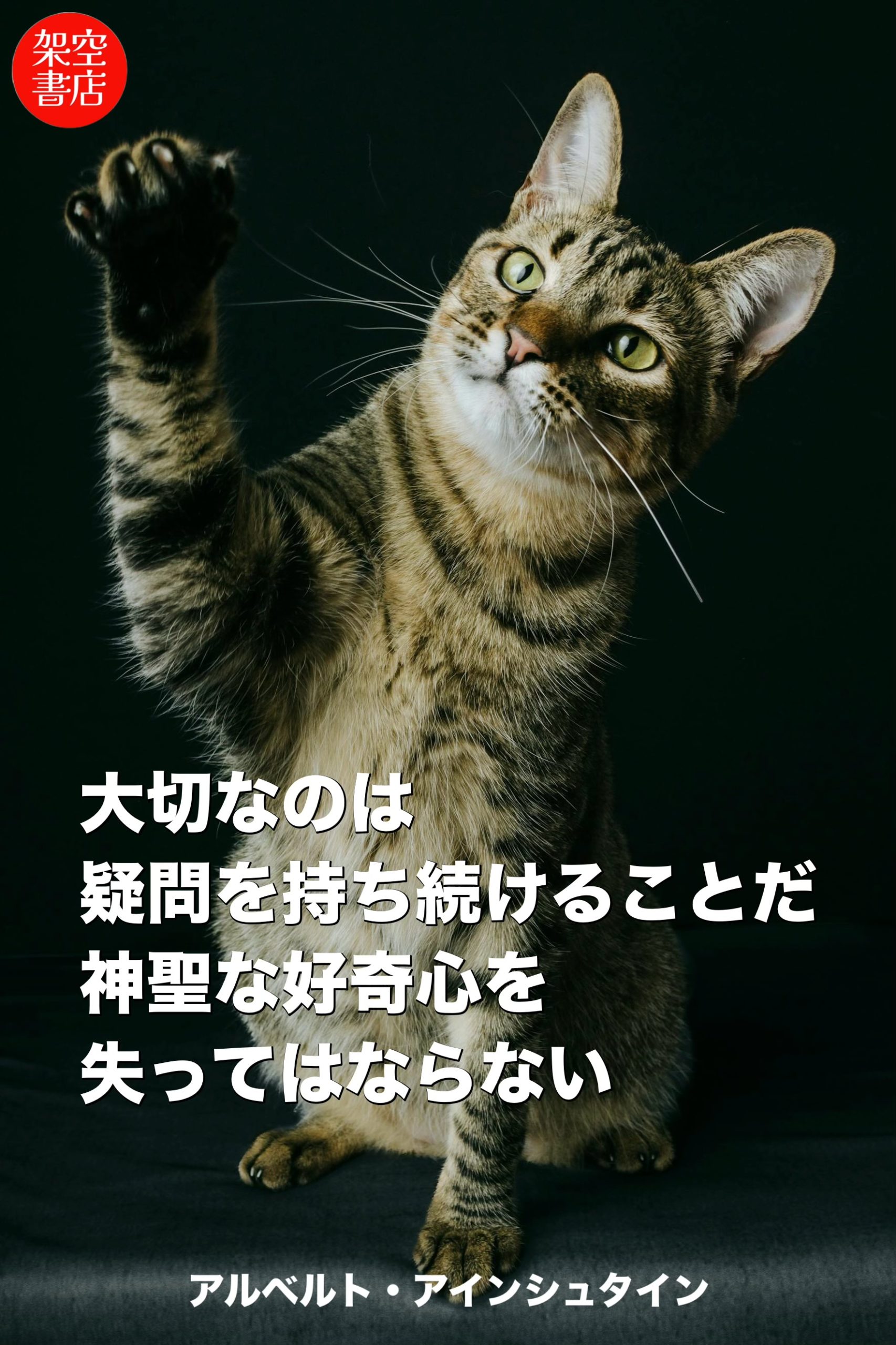 『発見』2024/05/06 架空書店 今日のセレクトテーマ