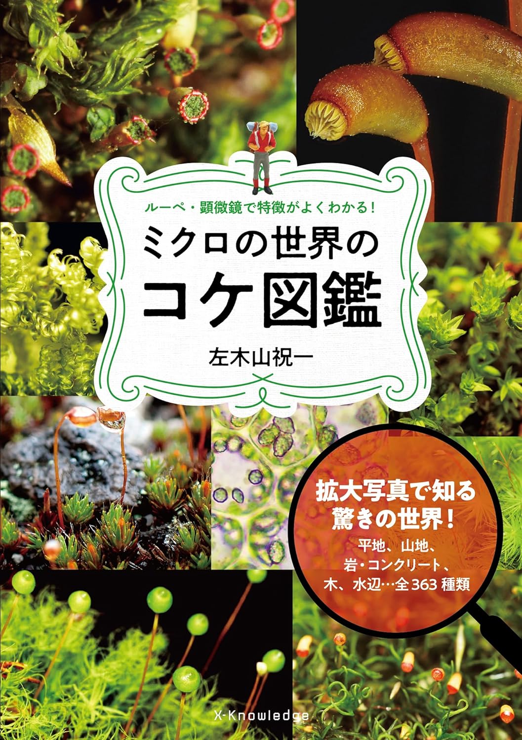 大きくしてみた🦠 ミクロの世界のコケ図鑑 左木山 祝一 エクスナレッジ #架空書店 240611 ③