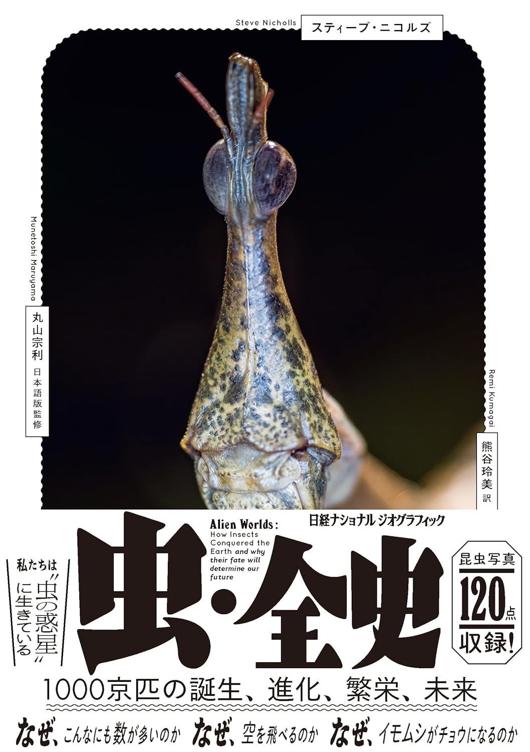 すごい数🐞虫・全史 1000京匹の誕生、進化、繁栄、未来 スティーブ・ニコルズ 日経ナショナルジオグラフィック #架空書店 240713 ⑥