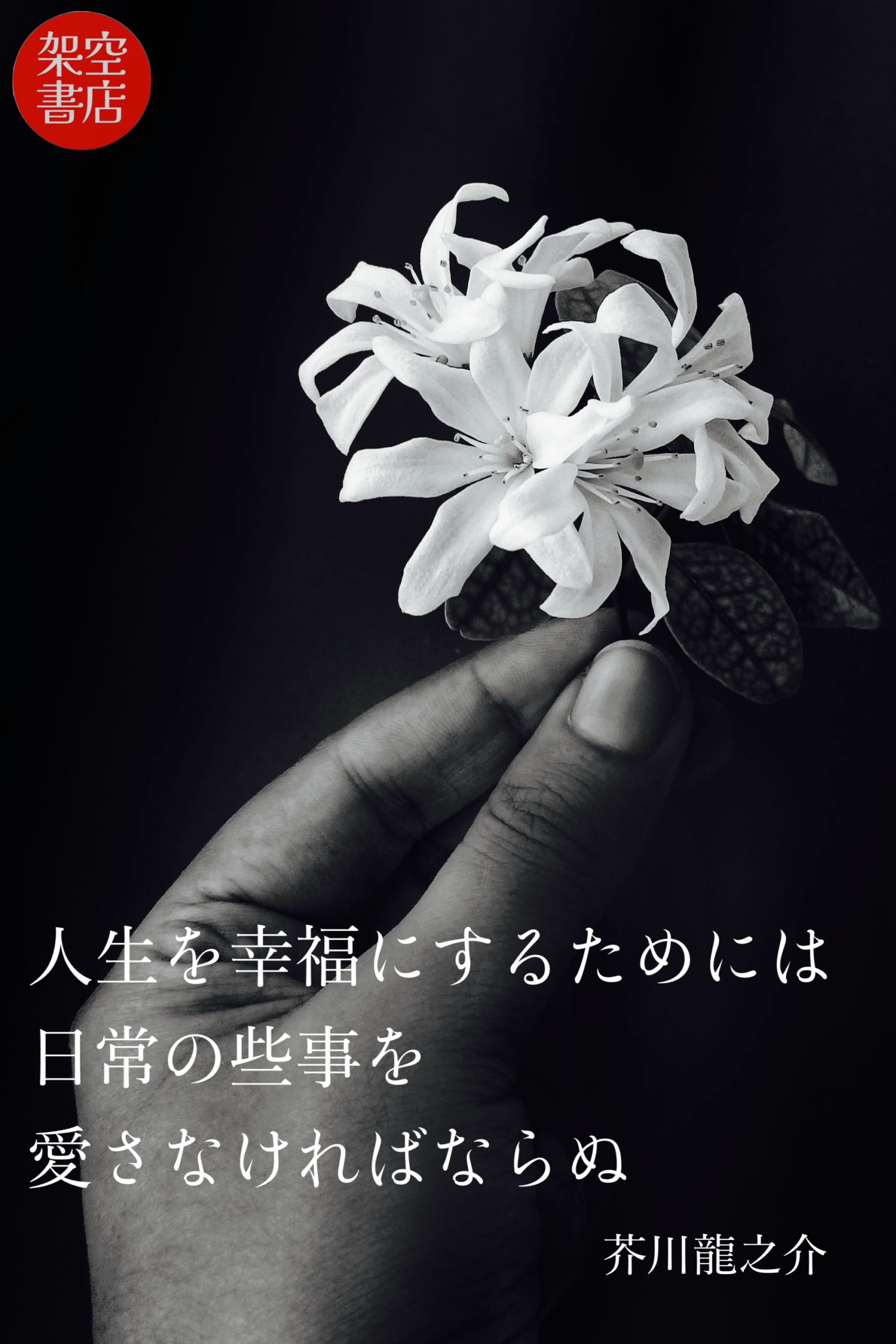 『日常』2024/07/03架空書店 今日のセレクトテーマ