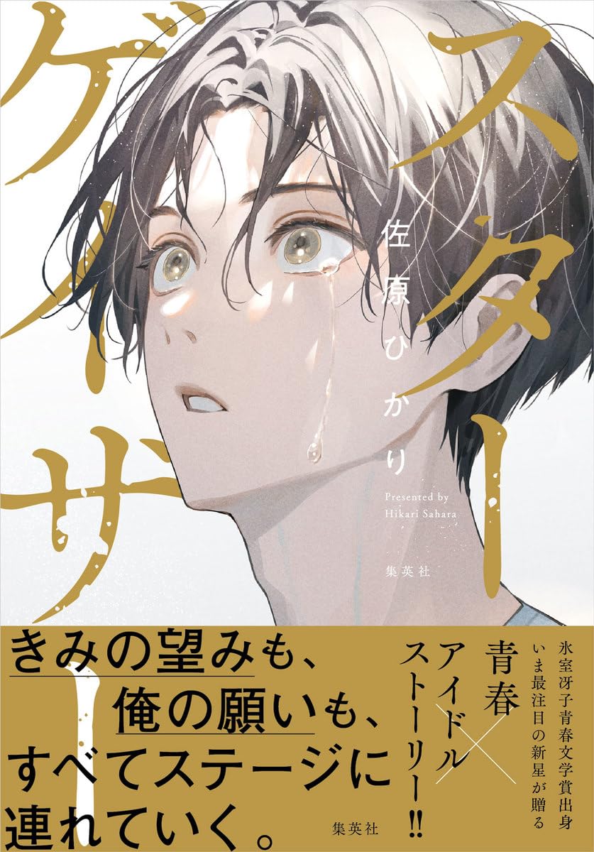 スターゲイザー 佐原 ひかり 集英社 #架空書店 240911 ②
