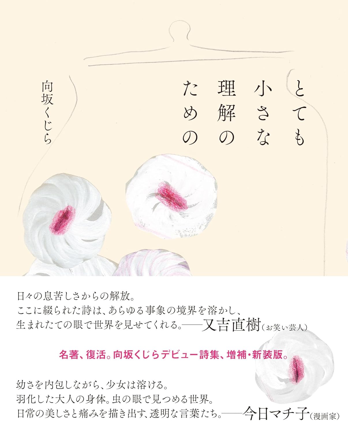 とても小さな理解のための 向坂 くじら 百万年書店 #架空書店 241018 ①