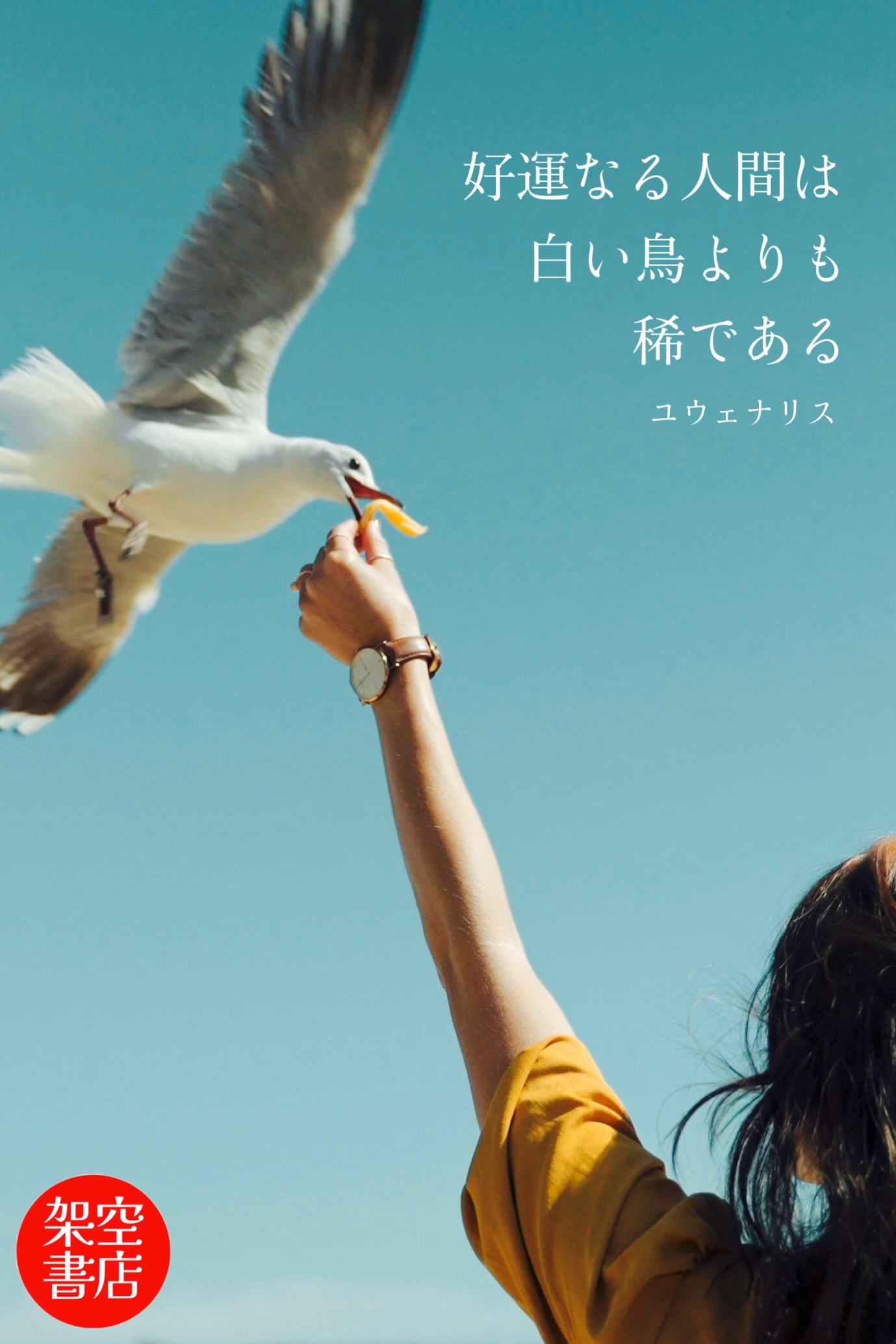 『白』2024/10/02 架空書店 今日のセレクトテーマ