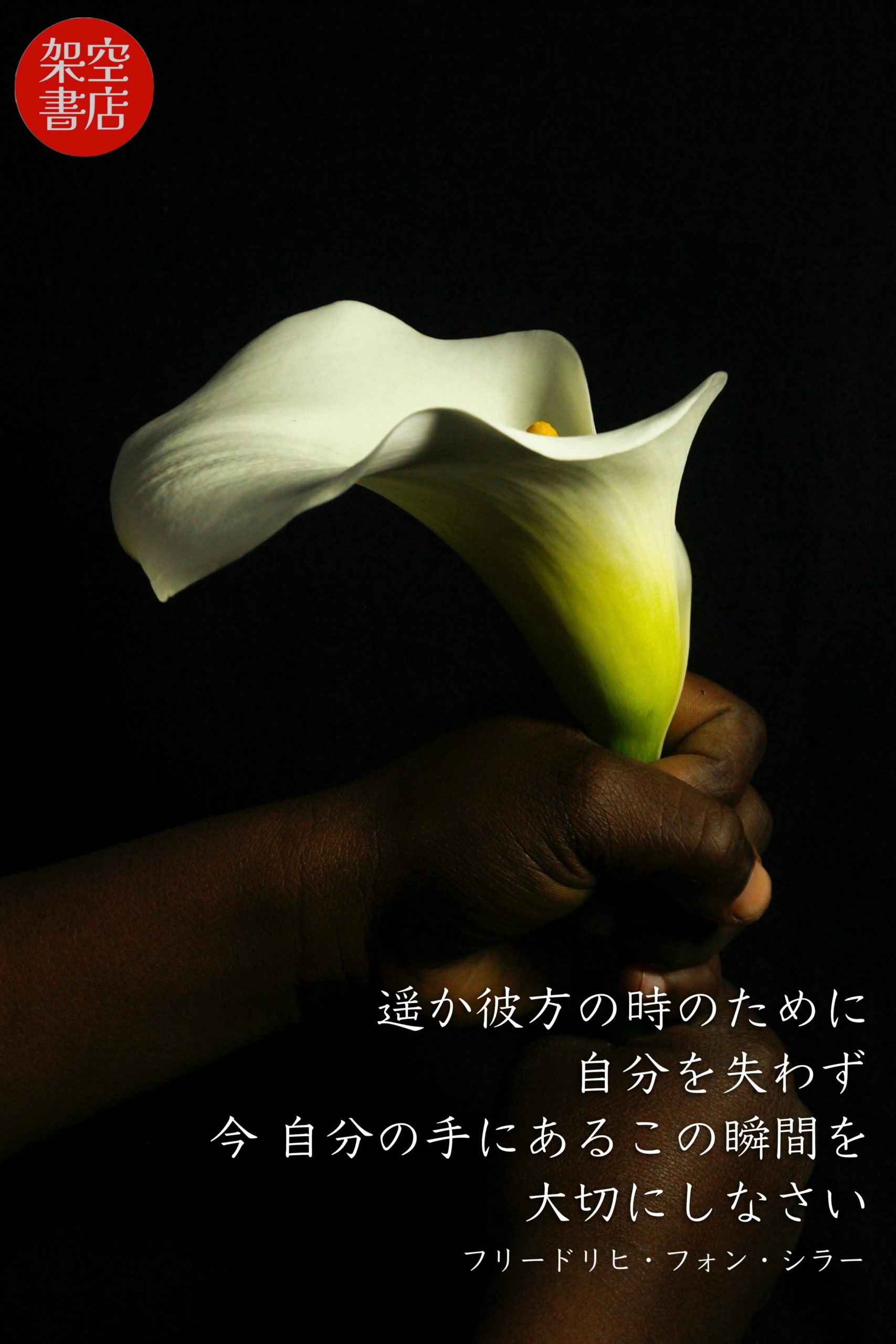 『彼方』2024/11/07 架空書店 今日のセレクトテーマ