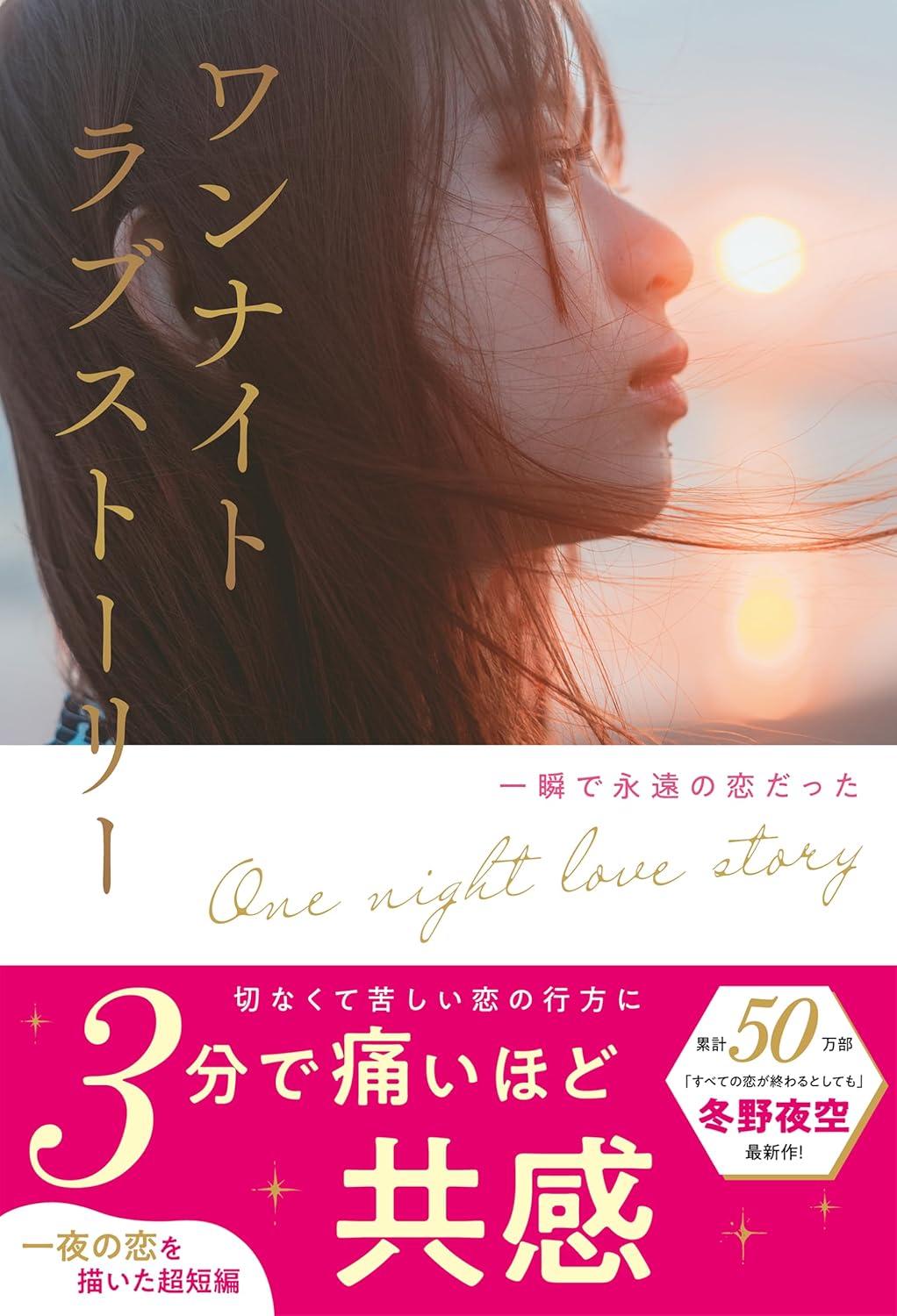 ワンナイトラブストーリー 一瞬で永遠の恋だった スターツ出版 #架空書店 241228 ⑥