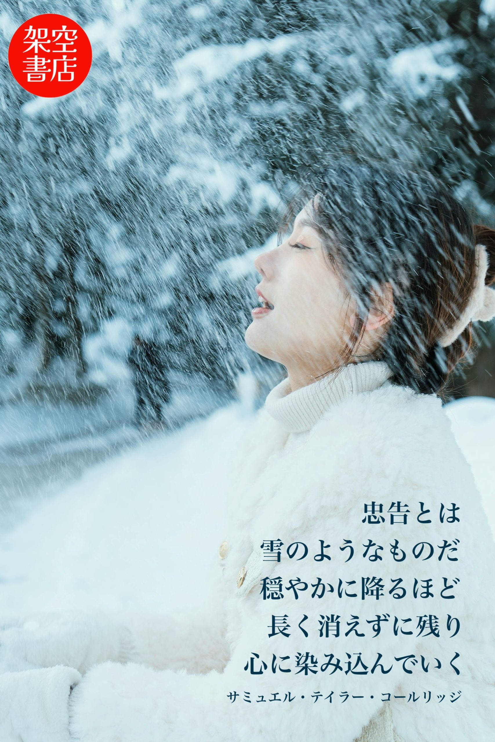 『染み込む』2024/12/29 架空書店 今日のセレクトテーマ