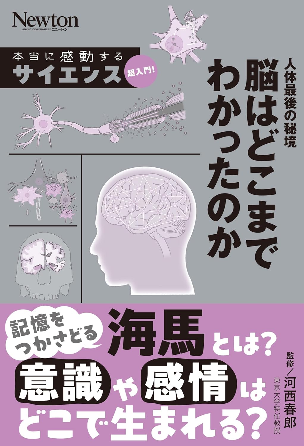 本当に感動する サイエンス超入門！人体最後の秘境 脳はどこまでわかったのか 河西春夫 ニュートンプレス #架空書店250413 ④