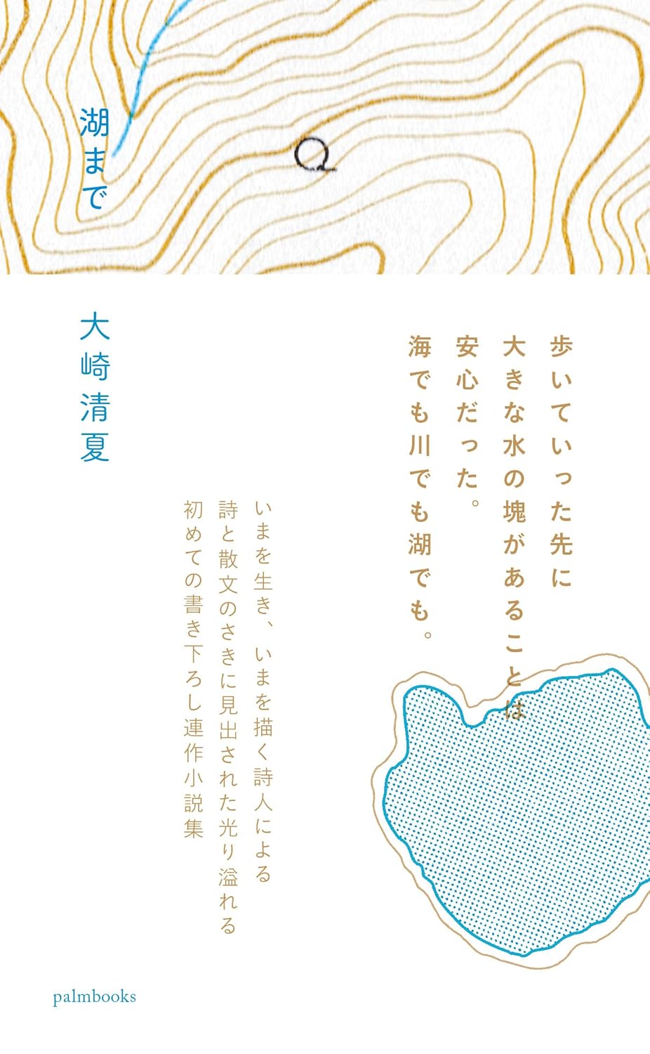 湖まで 大崎清夏 palmbooks #架空書店250509 ④