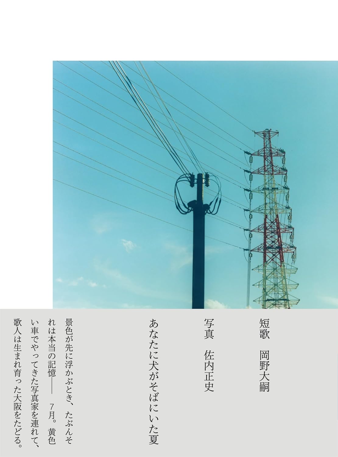 あなたに犬がそばにいた夏 岡野大嗣 佐内正史 ナナロク社 #架空書店250529 ②