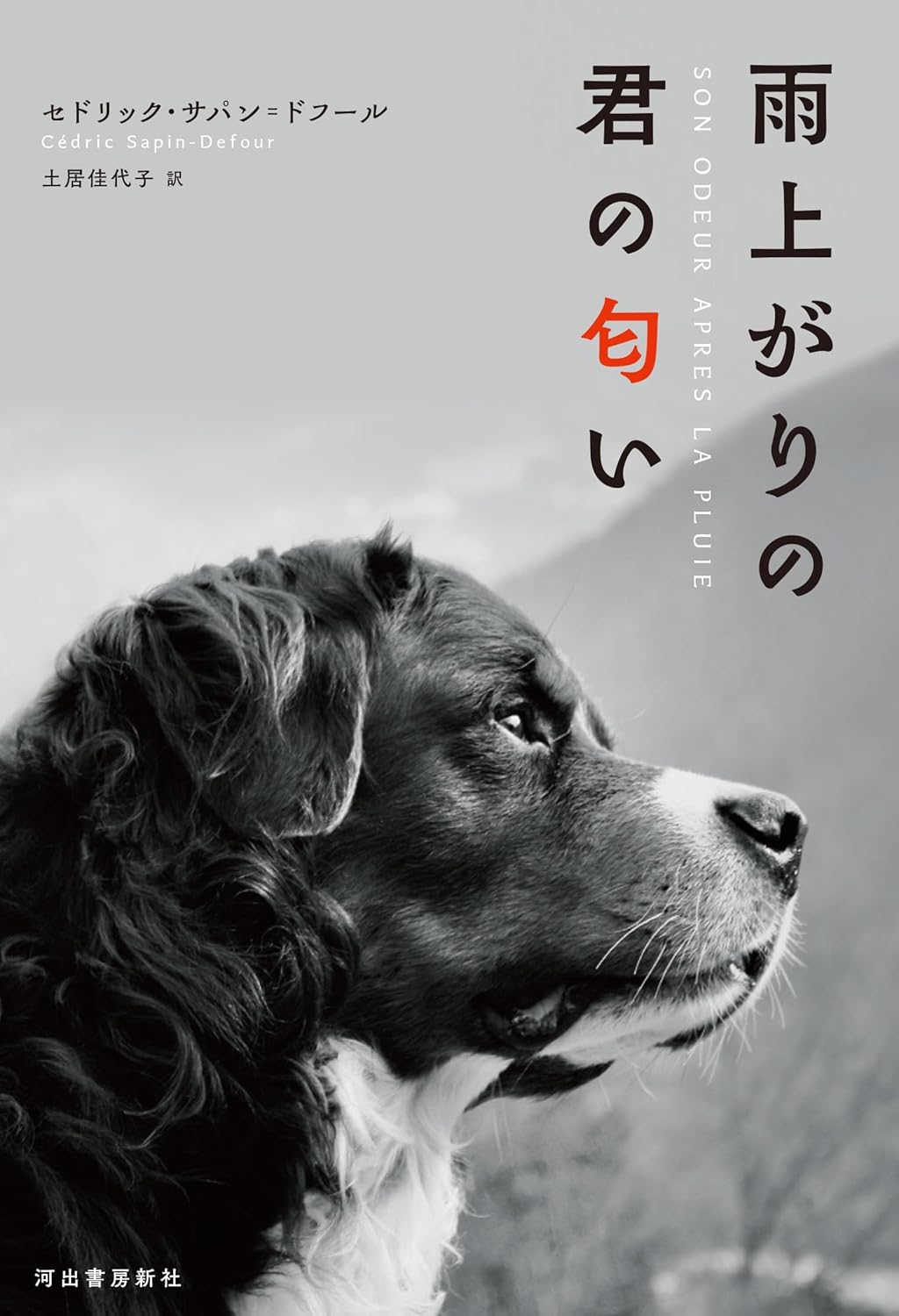 雨上がりの君の匂い セドリック・サパン＝ドフール 河出書房新社 #架空書店250603 ②