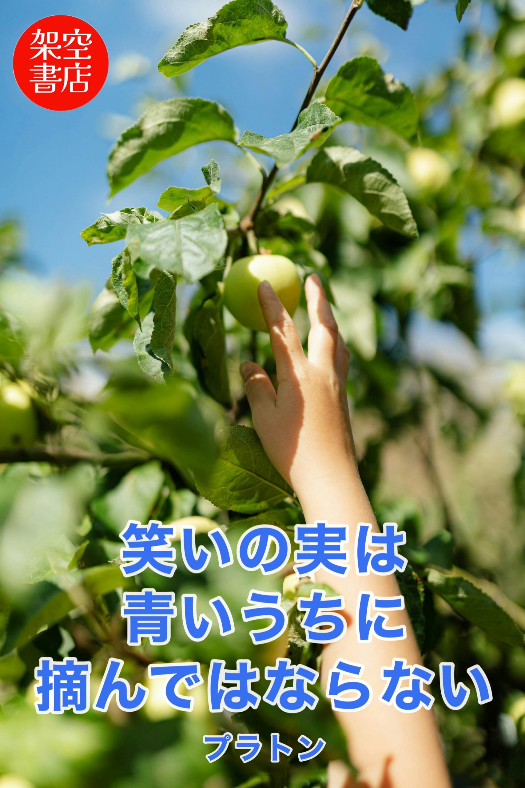 『青い』2025/05/10 架空書店 今日のセレクトテーマ