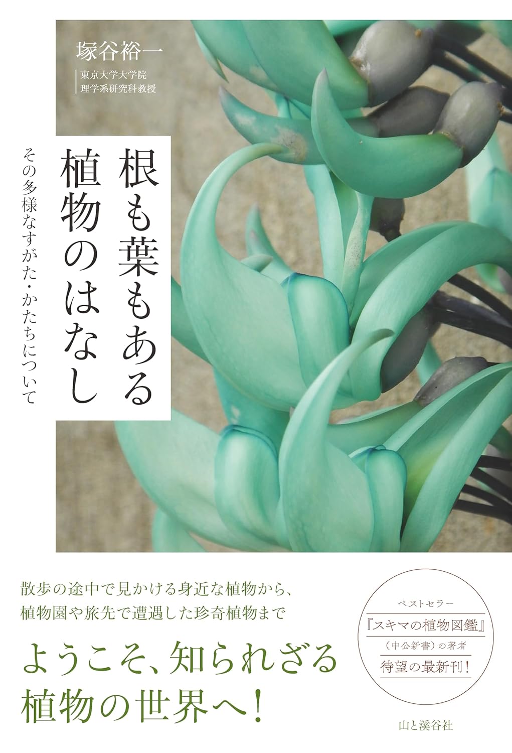 根も葉もある植物のはなし その多様なすがた・かたちについて 塚谷裕一 山と溪谷社 #架空書店250630  ①