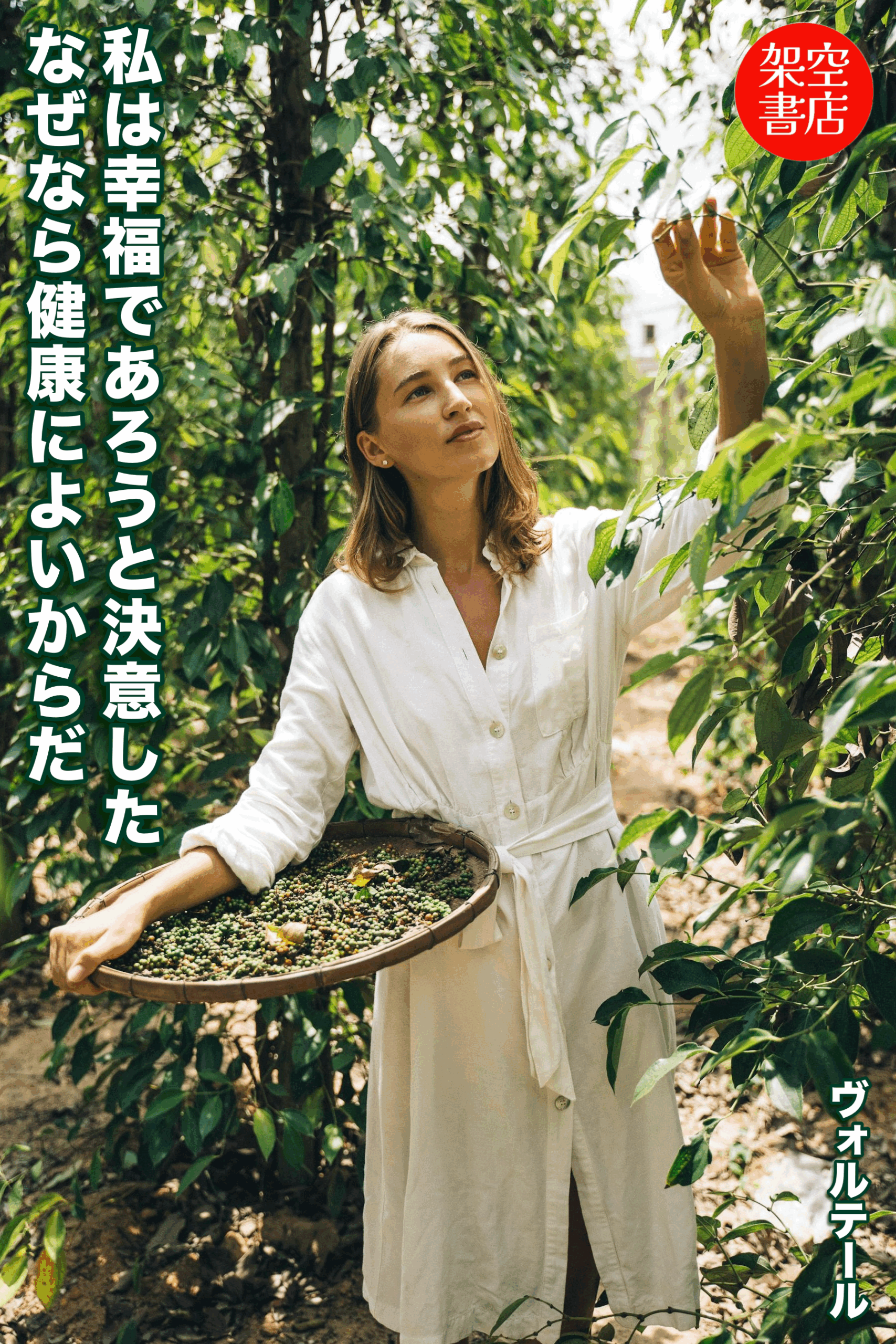 『決意』2025/06/14 架空書店 今日のセレクトテーマ