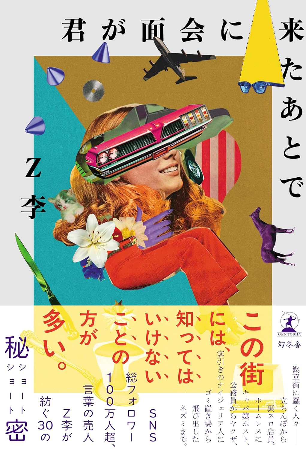 君が面会に来たあとで Z李 幻冬舎 #架空書店251109 ⑤