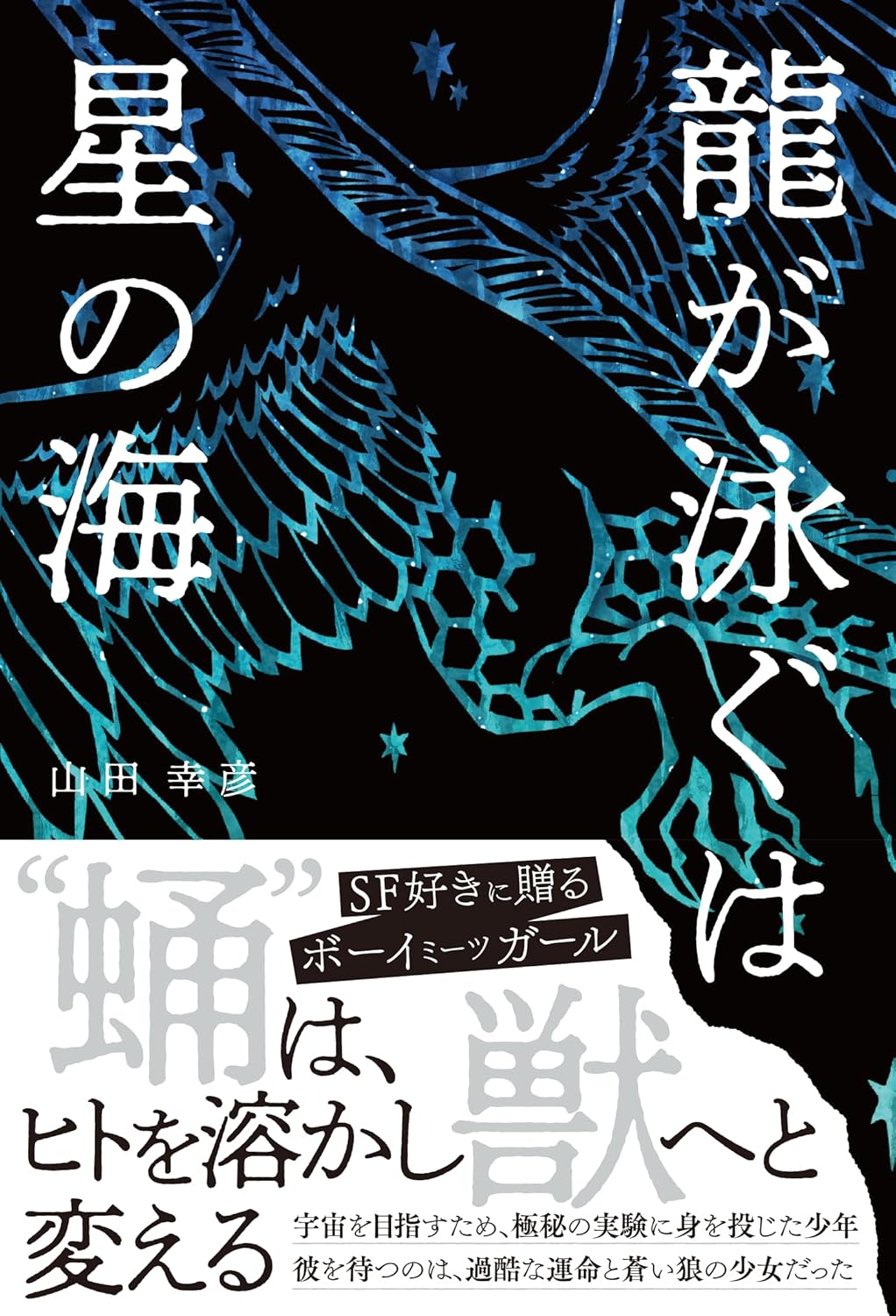 龍が泳ぐは星の海 山田幸彦 ボーンデジタル #架空書店251224 ①